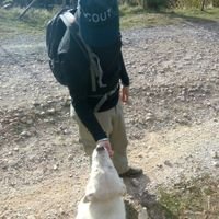 Fisioterapeuta, amante de la terapia manual y de la punción seca. Scout de toda la vida.