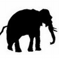 perolas professores (@perolasfessores) 's Twitter Profile