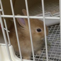 らら (@takato1023) 's Twitter Profile