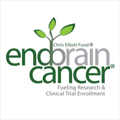 EndBrainCancer Initiative