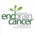 EndBrainCancer Initiative (@endbraincancer) Twitter profile photo EndBrainCancer Initiative (@endbraincancer) Twitter profile photo