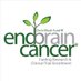 EndBrainCancer Initiative (@EndBrainCancer) Twitter profile photo