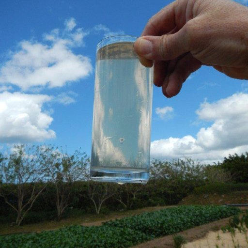 Expertise étude dépollution de L'eau/ Éradiquer Legionella calcaire /Assainissement avec les Plantes /Piscine Agriculteur Camping  sans chimie