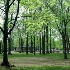 MentalTillage's profile picture. Florida, Books, Literacy, Art, Environment, Natural Sciences.
#blacklivesmatter