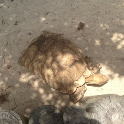 1HalBae1's profile picture. 