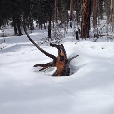 Davidvining101's profile picture. 