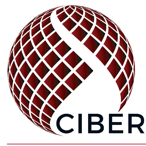 CIBER USA