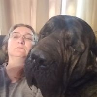 Doris Tyson - @Quiltingdoglady Twitter Profile Photo