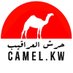 حـــرش العراقـيـــب (@camel_kw) Twitter profile photo