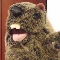 MC Marmot(@MC_Marmot) 's Twitter Profile Photo