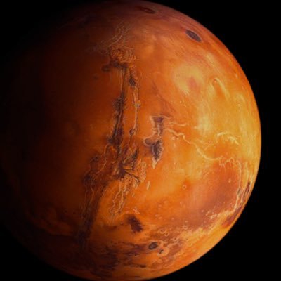 JohnManjiro_JS's profile picture. 