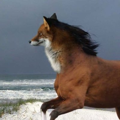 Total_Werido's profile picture. HI