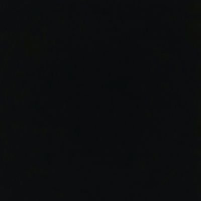 tragicringe's profile picture. 