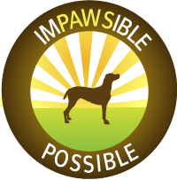 Entrepreneur, Humanitarian and Social Business owner with a mission of Making a difference, one dog at a time