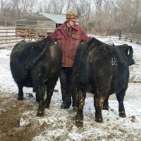 Strommen Cattle Co (@strommencattle) 's Twitter Profile