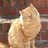 memmw's profile image