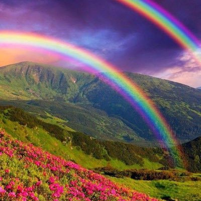 LizFarnsworth's profile picture. Continually questioning