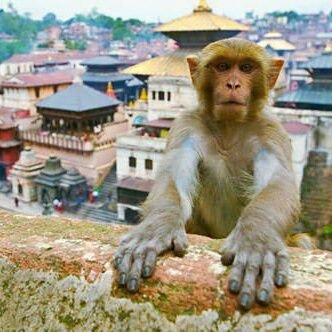 भगवानले मान्छेलाइ भेटिनु र छुटिनु कै लागि मात्र बनाका रहेछन😑😒

#मृत्युलाई कुरि बसेको मान्छे😐
#सुब्बा_साप हेरे मात्र पुग्छ धनी बाउकी छोरी बिवाहा गर्नुको असर😈