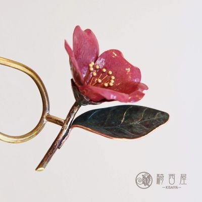 kisaiya sekiguchiさんのプロフィール画像