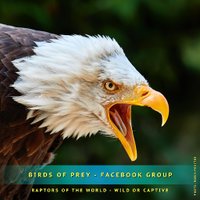Robin Procter (@redrobinpix) 's Twitter Profile