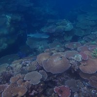 Mariana Alvarez (@manalv) 's Twitter Profile