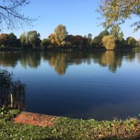 Countryside (@needhamlake) 's Twitter Profile