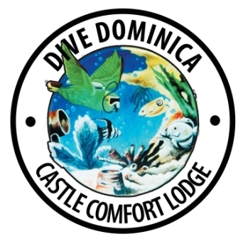 Dive Dominica. Scuba diving and whale watching in Dominica, the nature island of the Caribbean.