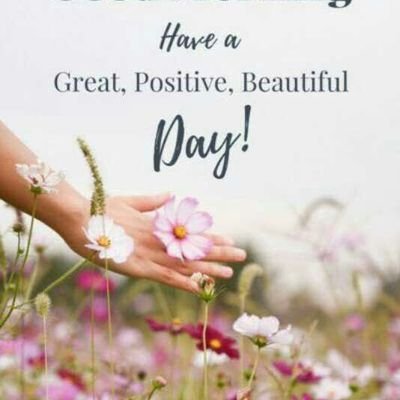 minkhant9999's profile picture. i am gay i like nice body guys