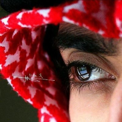 خلك بحر ؛ يبلع ولا يشتكي ضيق لا هاج موجهہ صار كلن يهابهہ !