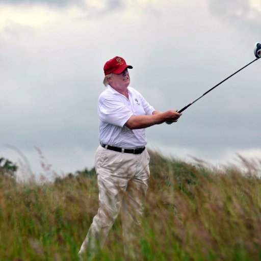 Counting the President's golf outings.