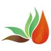 Wood Fuel Co-op (@WoodFuelCoop) Twitter profile photo