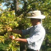 Luis Barrera (@doneitch) 's Twitter Profile
