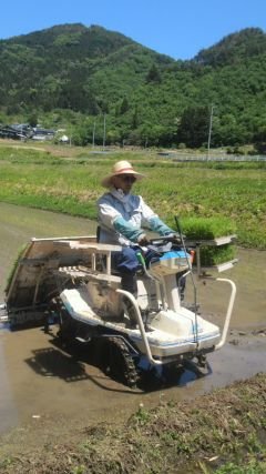 群馬県川場村で農業をやっています！！
トマト、お米(雪ほたか)、こんにゃく芋を作っています！！

本業は子ども向けエンターテイナーです✨せきあっし本アカウントはこちら～→ @sekiasshi ちぇきっ☆