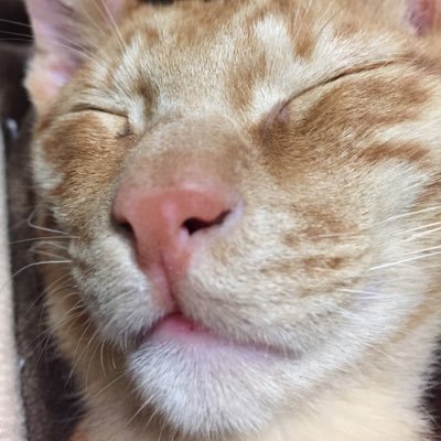 Q80L8bVF4cOWFIn's profile picture. 女優、深川麻衣、乃木坂46、いくちゃん、なぁちゃん推し。社会人3年生。 【#昇坂加工】【#生田絵梨花団 No.22】