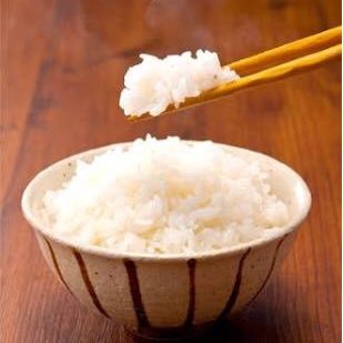 ほかほかごはんちゃん Kumattana Amo Twitter