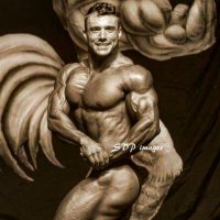 Charlie Williams (@chuck_kitty) 's Twitter Profile