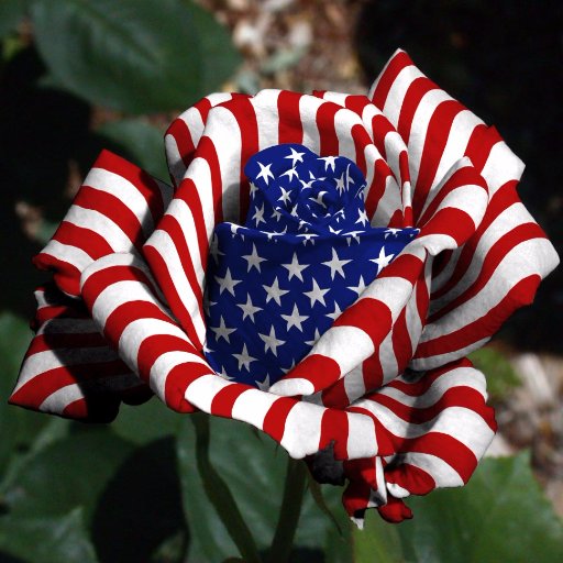 shadowcat269's profile picture. Family, friends