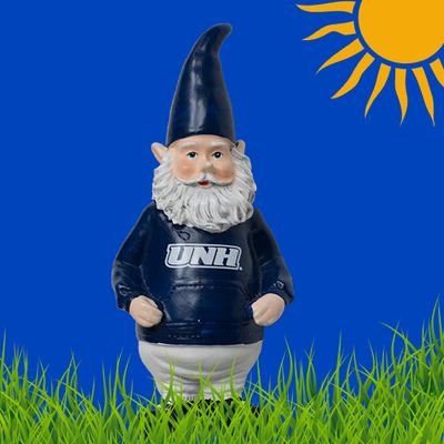 Lord Snively is the magical gnome of @UofNH. Follow his travels and adore his Wildcat spirit! #UNHGnome