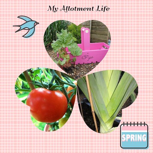 Pippa-My Allotment Life.Started my allotment life and challenge in 2015, and never looked back since, sharing my little delights with you & learning on the way!