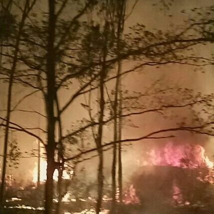 kp_blaze's profile picture. 