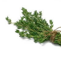 Thyme Growers Assoc.(@thymegrowers) 's Twitter Profile Photo