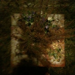 OfficialFlowers's profile picture. 