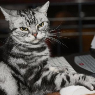 MaliciousDelish's profile picture. Security Researcher, Master of Packets, Bot Herder, Captor of Flags, hacking the planet.