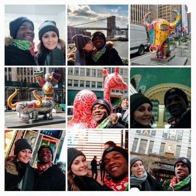 peterdanso1's profile picture. Die hard sports fan!! Cincinnati Bengals & Toronto Raptors 
#WHODEYNATION