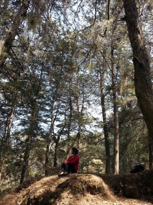 IxqanilSol's profile picture. Kaqchikel, mi misión es crear y facilitar procesos transformativos para dejar semillas de cambio y aportar en la reconstrucción de un mundo mejor.