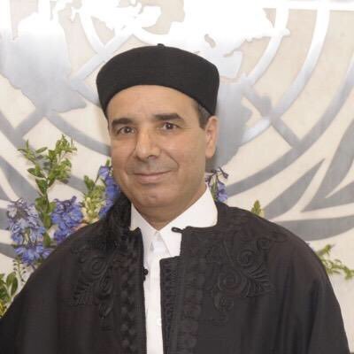 إبراهيم عمر الدباشي، سفير متقاعد