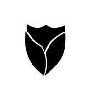 🛡 shield. 🛡 (@theshieldingllc) 's Twitter Profile