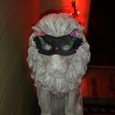 Amber McLain - @admclain3 - Twitter