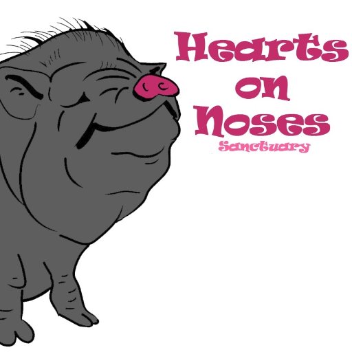 Hearts On Noses is  Sanctuary  for   40 pigs  including  horses, cats pond full of fish,  cats and dogs. 
HONS is a registered  non - profit charity.