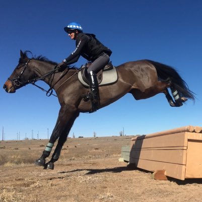 HartenburgEQ's profile picture. Lessons - Training - Equine Bodywork